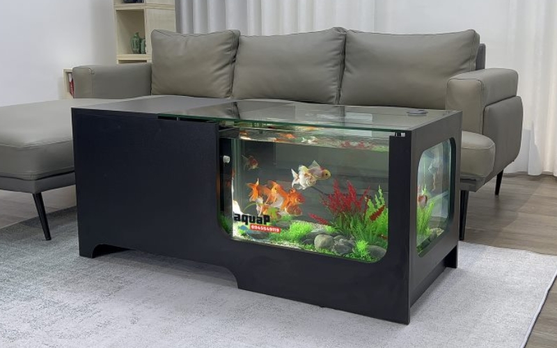 Giới thiệu bàn sofa bể cá tiêu chuẩn màu đen AQUAP 