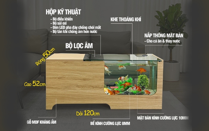 Thông số kỹ thuật Bàn sofa bể cá AQUAP tiêu chuẩn vàng sồi