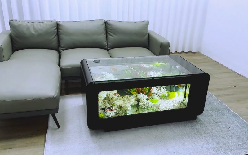 Bể Cá Cảnh Đa Năng chuyên cung cấp bàn sofa bể cá AquaP VIP 3 uy tín