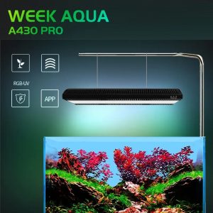 Đèn Week ARK Pro – A430 Pro