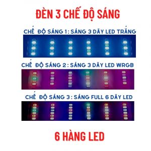 Đèn LED bể cá cảnh đổi 3 màu
