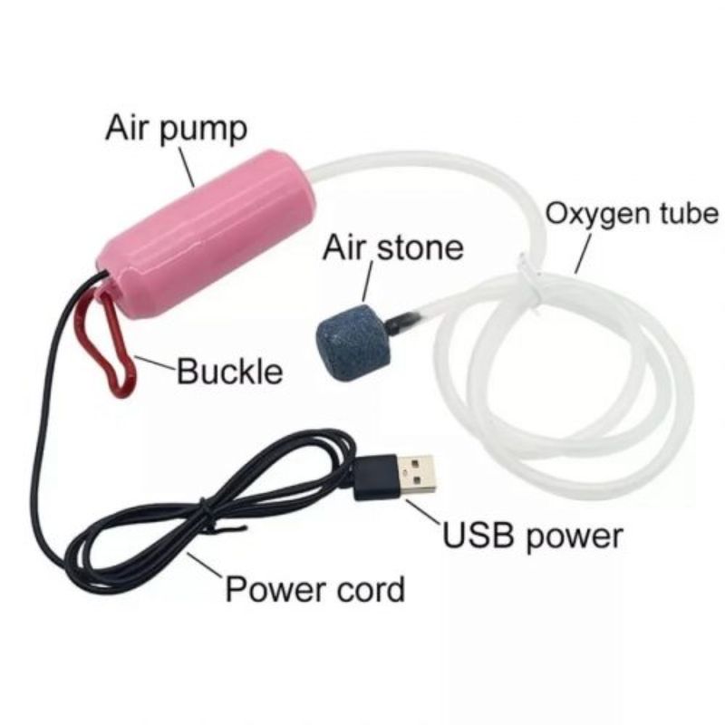 Thiết kế máy sục oxy mini kết nối USB  giá rẻ