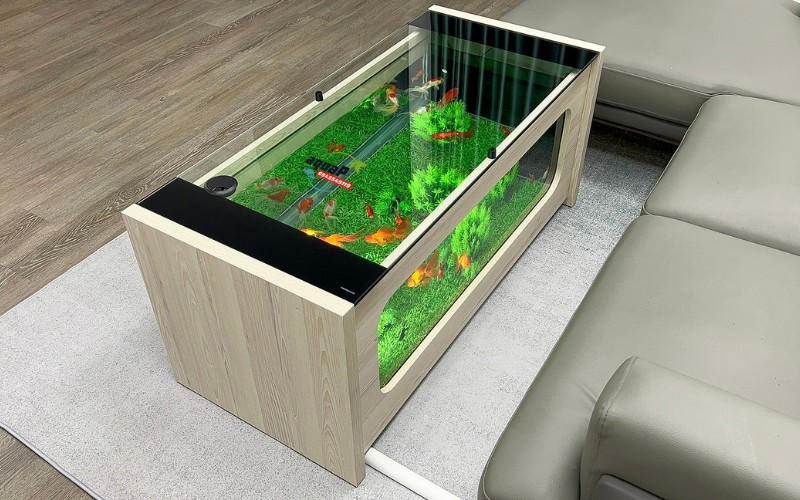 Bàn trà bể cá AQUAP cao cấp