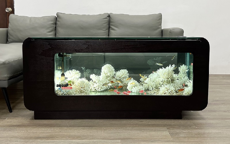Bàn sofa bể cá được tích hợp từ bàn trà và bể cá cảnh