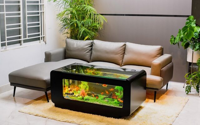 Tổng hợp những mẫu bể cá độc lạ nhất cho người sành chơi