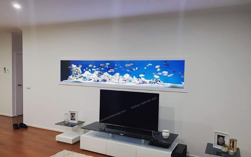 Bể cá trên tường đặt ở đằng sau tivi