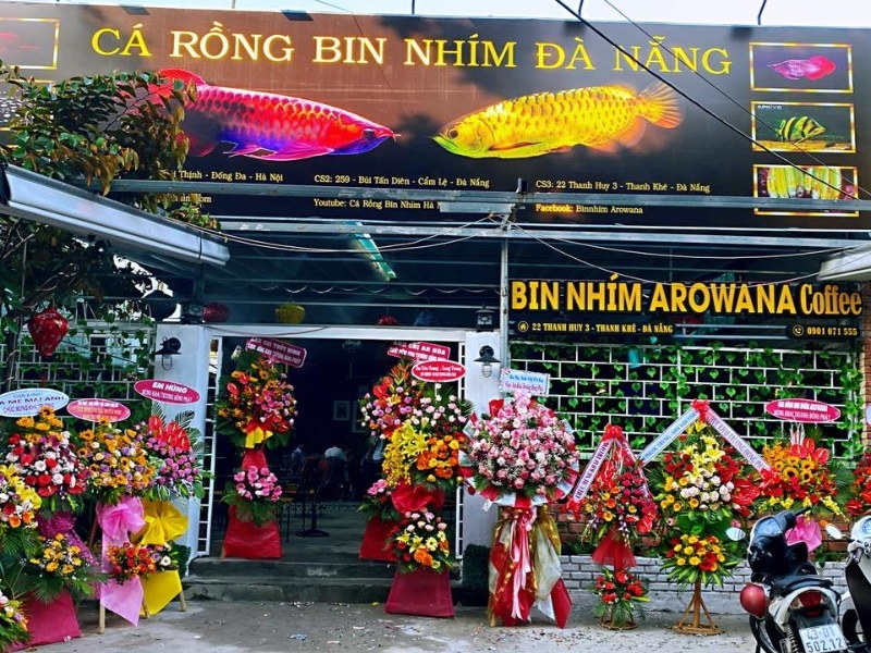 Cửa hàng bán cá Rồng Bin Nhím