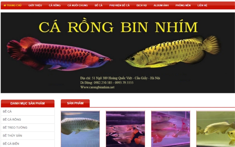 Cá rồng Bin Nhím