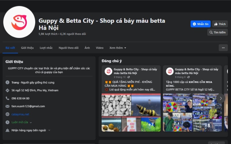 Guppy & Betta City - Shop cá bảy màu betta Hà Nội