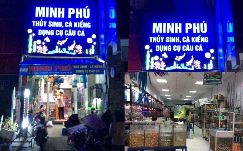 Cửa hàng cá cảnh Minh Phú