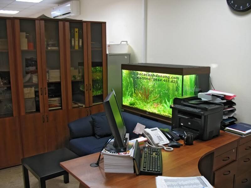 Đặt hồ cá ở văn phòng giúp mệnh Kim kinh doanh phát đạt 