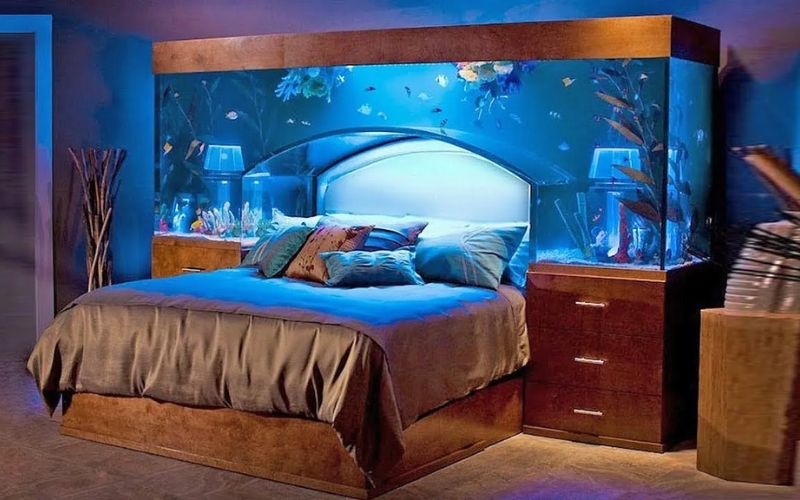 Thiết kế nội thất phương Tây rất ưa chuộng hồ cá trong phòng ngủ
