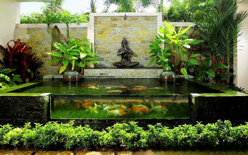 Mẫu bể cá Koi