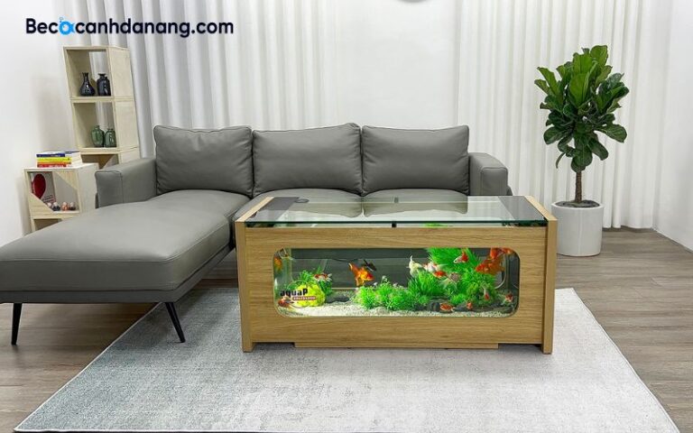 Cá khủng long 6 sừng Axolotl: Giá bao nhiêu, nuôi thế nào?